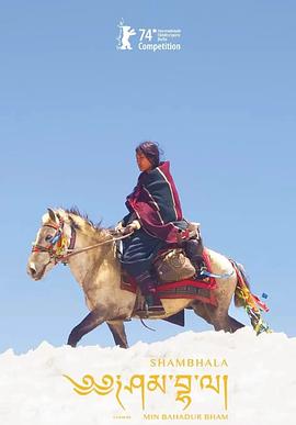 假如我是真的1981封面图