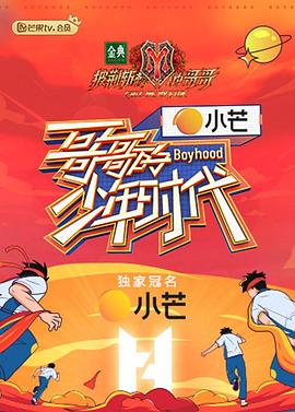 假如我是真的1981封面图