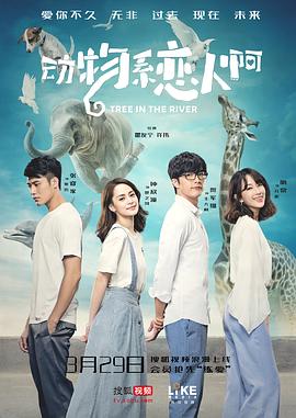 假如我是真的1981封面图