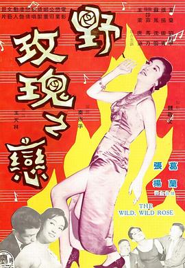 假如我是真的1981封面图