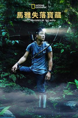 假如我是真的1981封面图