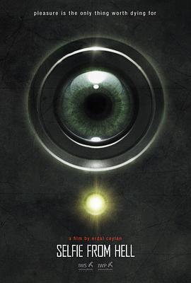 假如我是真的1981封面图