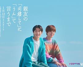 假如我是真的1981封面图