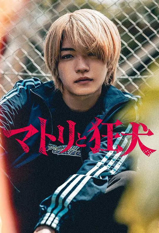 假如我是真的1981封面图