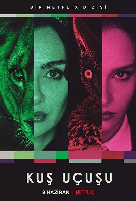 假如我是真的1981封面图