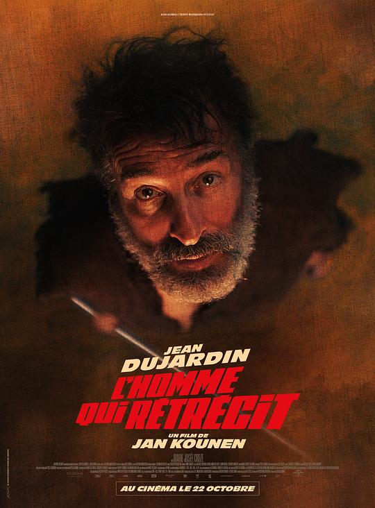 假如我是真的1981封面图