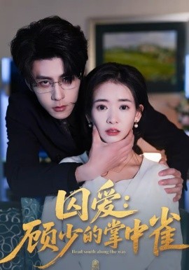 囚爱：顾少的掌中雀