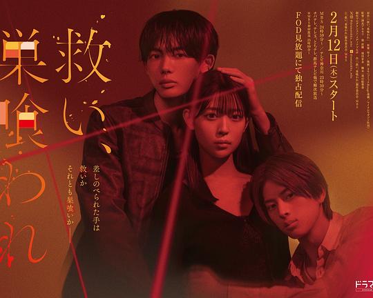 假如我是真的1981封面图