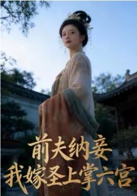 前夫纳妾，我嫁圣上掌六宫