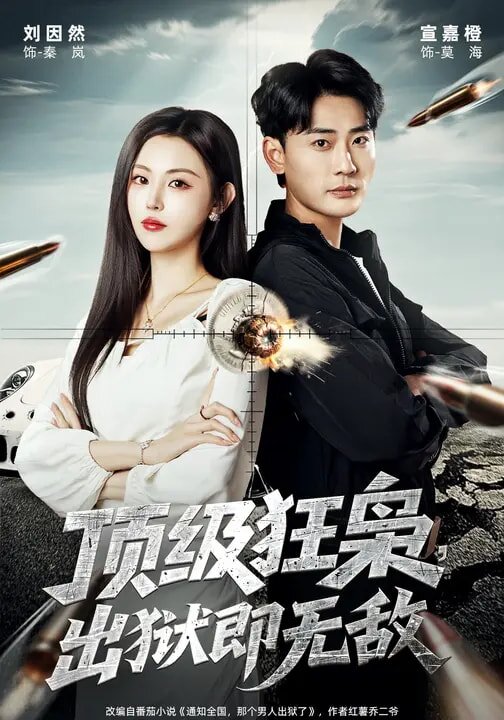 假如我是真的1981封面图